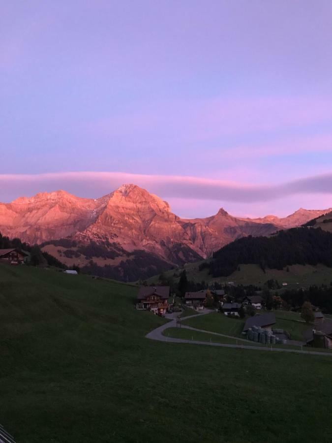 Hotel Abelied Adelboden Esterno foto